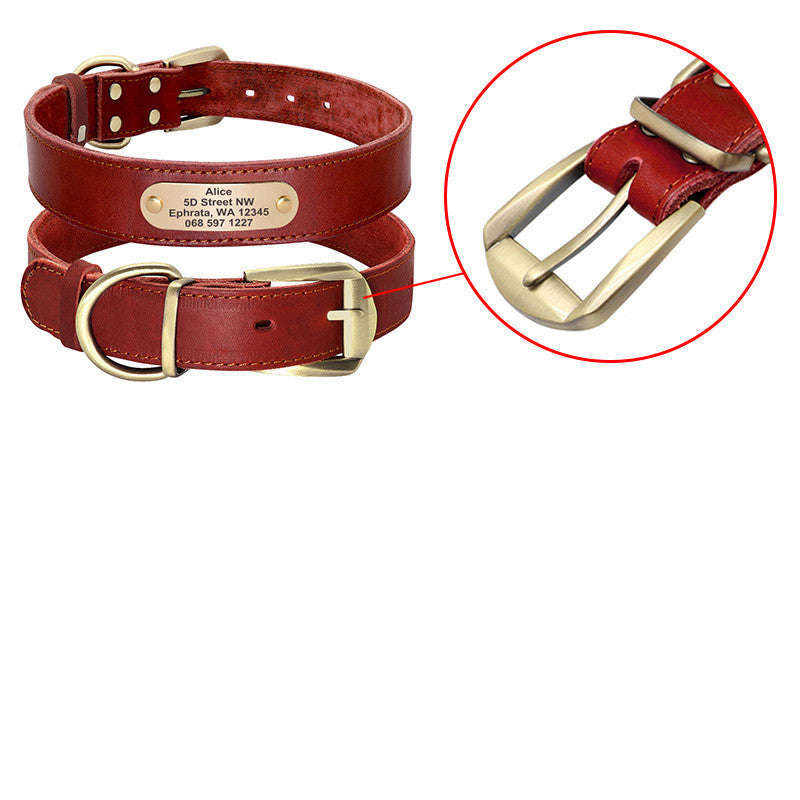 Personalized Dog Collars with Nameplate ID Tags for Medium Large Dogs
