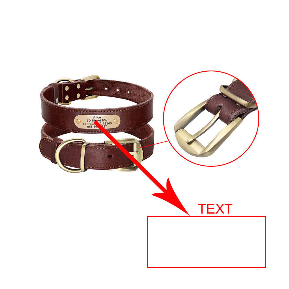 Personalized Dog Collars with Nameplate ID Tags for Medium Large Dogs