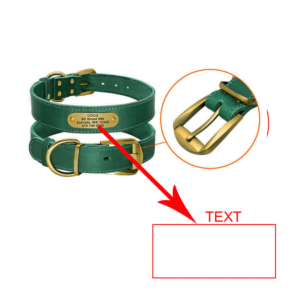 Personalized Dog Collars with Nameplate ID Tags for Medium Large Dogs